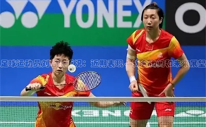 333体育官网登录入口巴美列捷福足球运动员刘若钒近况：近期表现、转会传闻和未来展望