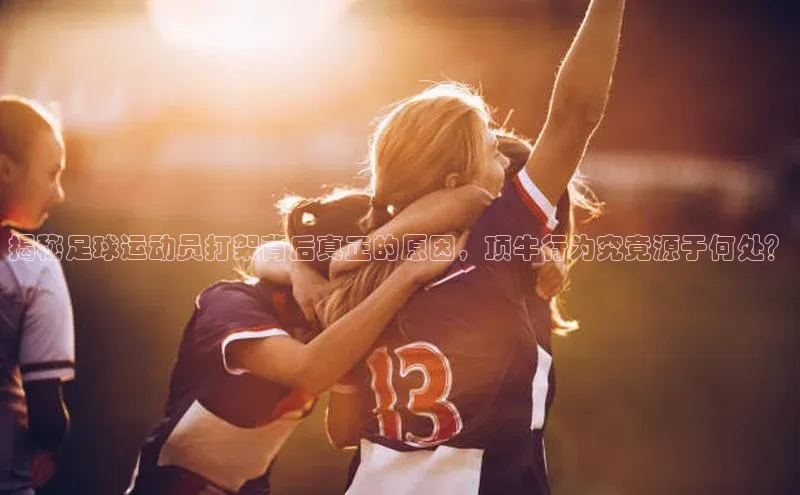 333体育神思电子揭秘足球运动员打架背后真正的原因，顶牛行为究竟源于何处？