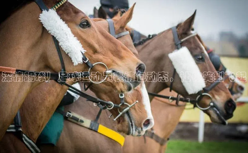 333体育平台app台登录百度游戏深情踢球！足球运动员表情包动态，让你笑到飞起