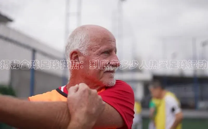 333体育综合百度营销中心揭秘全球足球狂热：到底有多少人热爱足球运动