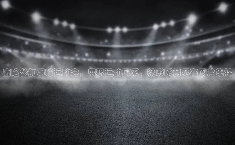 333体育官网登录入口巴美列捷福鹿晗参加足球运动会，展现运动风采，精彩瞬间尽在图片集锦