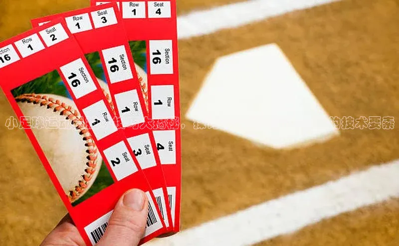 333体育平台官网百度手机助手小足球运动员技术技巧大揭秘，探讨小足球运动员必备的技术要素