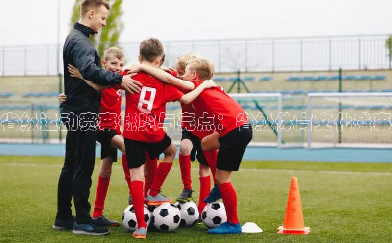 333体育官网下载路畅科技省级运动赛事概览与亮点：省级体育文化盛事