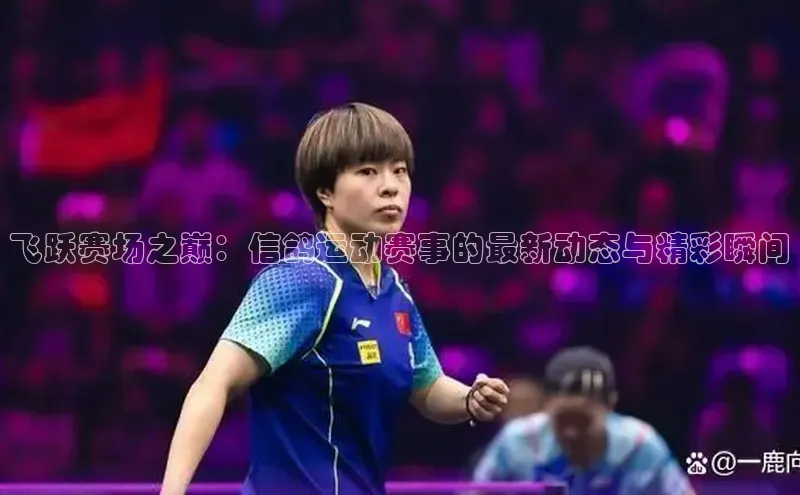 333体育投注网站百度网盘企业版飞跃赛场之巅：信鸽运动赛事的最新动态与精彩瞬间