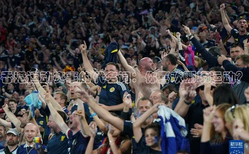 香港运动赛事的代名词：你喜欢哪项运动？