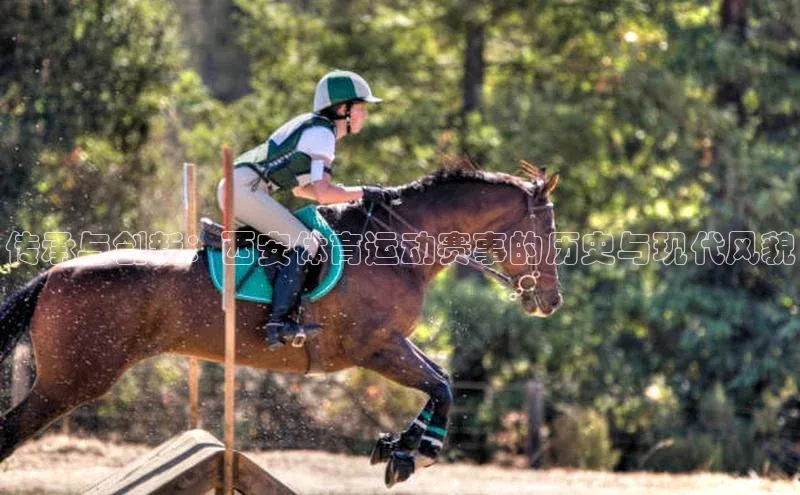 传承与创新：西安体育运动赛事的历史与现代风貌