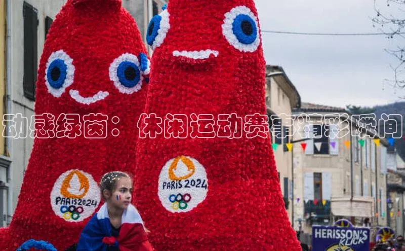 动感绿茵：休闲运动赛事精彩瞬间