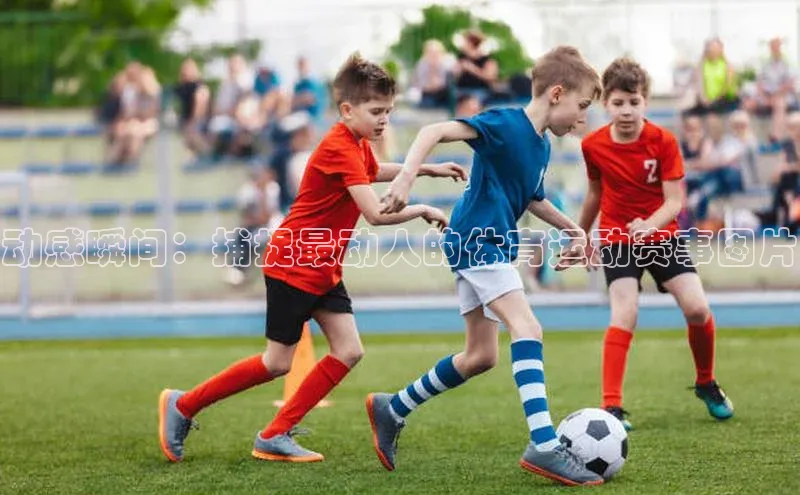 动感瞬间：捕捉最动人的体育运动赛事图片