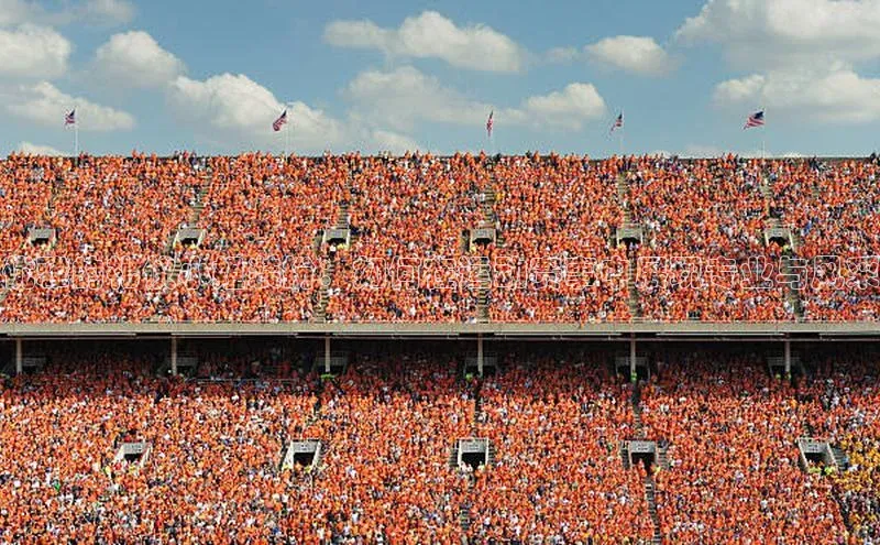 优雅的礼仪小姐装扮：如何在运动赛事中展现专业与风采