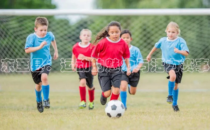 东至县：运动的魅力与活力赛事