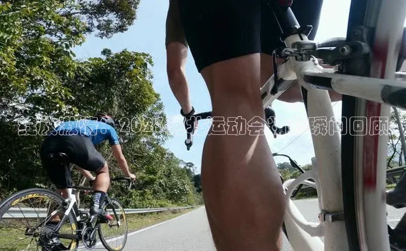 绽放激情：2023河北运动会精彩瞬间回顾