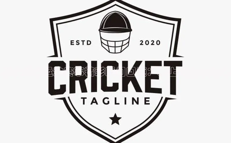 柏林跳水运动赛事精彩瞬间回顾：水上惊险与魅力