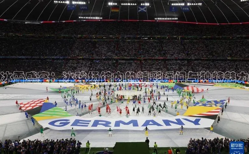 冰雪盛宴：冰球场馆内的精彩瞬间与独特魅力
