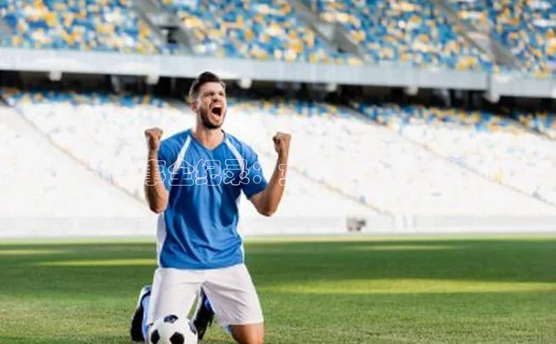 美女运动赛事全纪录：女性魅力与激情的力量