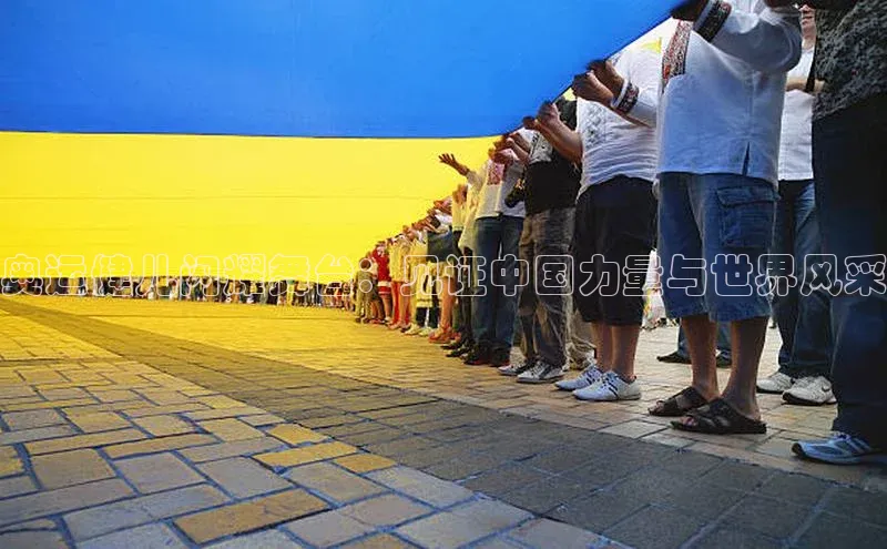 奥运健儿闪耀舞台：见证中国力量与世界风采