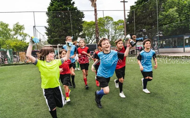 运动赛事中的成语大观：起源、应用与文化内涵