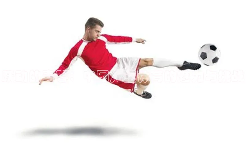 333体育官网登录入口