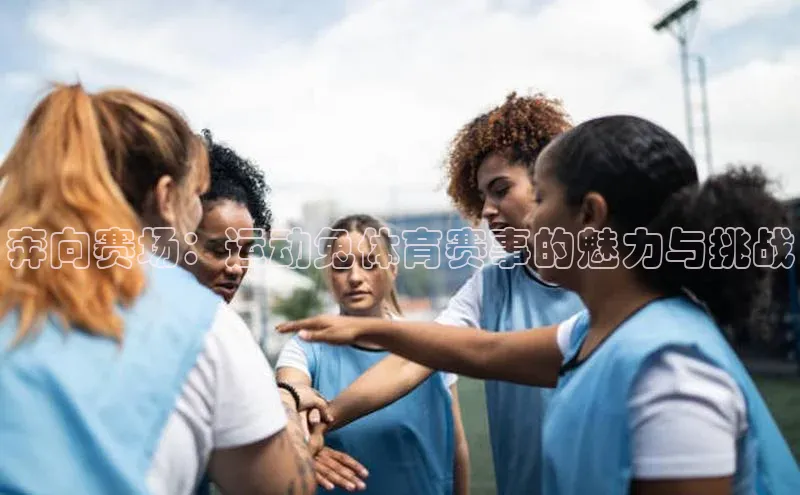 333体育网页登录