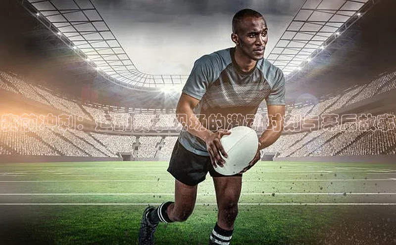 333体育平台网页版