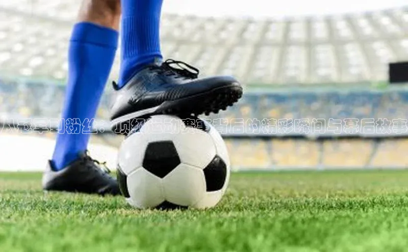 333体育网页登录