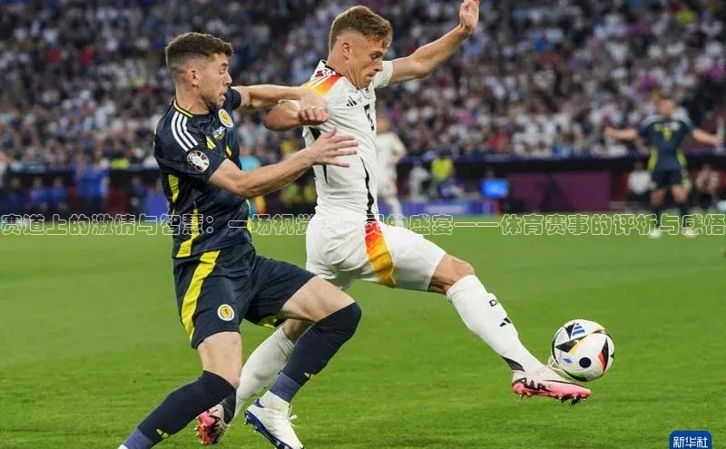 333体育app官方下载