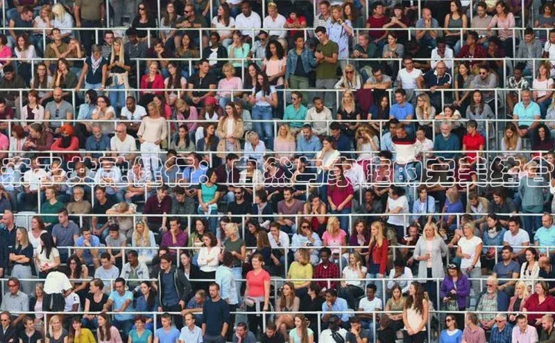 亲子共融健行：自然与家庭的完美结合