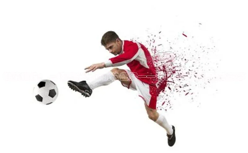 333体育网页登录